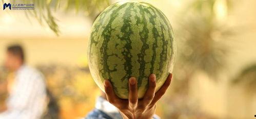 娱乐圈可以吃大瓜,揭秘明星幕后真相